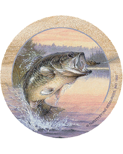 Angler's Dream Coaster Set