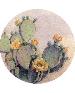 Desert Bloom Coaster Set