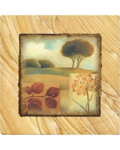 Down to Earth Coaster Set - Naturals Collection